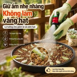 [COMBO 3] Đầu vòi 1000 Lỗ Tăng Áp Phun Tia Siêu Mịn, Tia Nước Mạnh, Tiết Kiệm Nước Ren 21/ 27 8