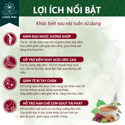 Trà Tiêu Gút (Gout) - Làng Mai - Đào Thải Axit Uric, Giảm Nguy Cơ Viêm Khớp Gout 3