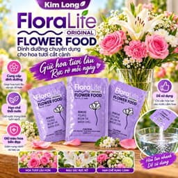 Gói Thuốc LORALIFE Mỹ - Dưỡng Hoa Lâu Tàn, Không Hôi Nước 4