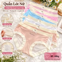 (Hàng loại đẹp)Combo 5-10 quần chip nữ cao cấp, quần lót nữ chất su lụa tàn hình đẹp 45-68kg mặc không lộ viền 1