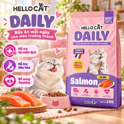 [Combo 5 Gói] Hạt Mèo Hello Cat Daily 1Kg Vị Cá Hồi Dành Cho Mèo Trưởng Thành - 5Kg 2