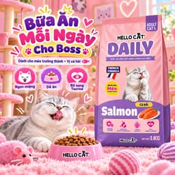 [Combo 5 Gói] Hạt Mèo Hello Cat Daily 1Kg Vị Cá Hồi Dành Cho Mèo Trưởng Thành - 5Kg 4