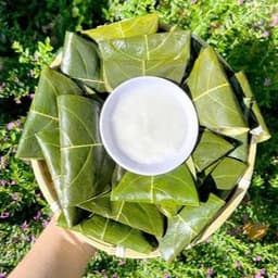 50 Lá Mít Tươi - gói bánh, in oản, làm đồ chơi 3
