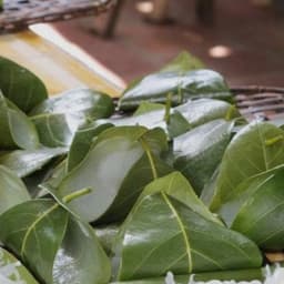 50 Lá Mít Tươi - gói bánh, in oản, làm đồ chơi 2