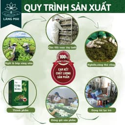Trà Cỏ Mực Đỗ Đen Thải Độc Thận - Làng Mai - Giảm Tiểu Buốt, tiểu đêm, tiểu rắt, đau thắt. 7