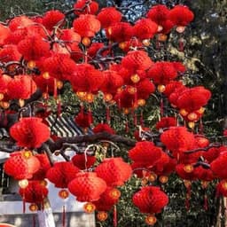 🏮🧧 ĐÈN LỒNG ĐỎ MINI TREO TRANG TRÍ LỄ TẾT – NHỎ XINH, RỰC RỠ, ĐÓN LỘC VỀ NHÀ 🧧🏮 2