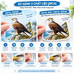 Tem Dán Đại Bàng Trang Trí Xe Máy Ô Tô Che Vết Xước Chống Nước Bền Màu 2