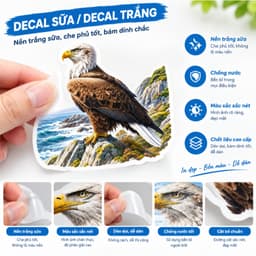 Tem Dán Đại Bàng Trang Trí Xe Máy Ô Tô Che Vết Xước Chống Nước Bền Màu 8