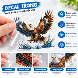 Tem Dán Đại Bàng Trang Trí Xe Máy Ô Tô Che Vết Xước Chống Nước Bền Màu 7