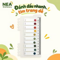 Miếng đánh dấu trang Index Tab PET Morandi trong suốt – Mẫu nửa màu, full màu và chấm tròn 8