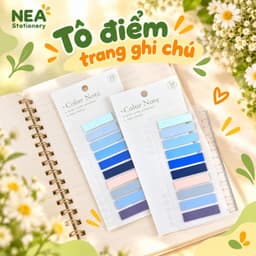 Miếng đánh dấu trang Index Tab PET Morandi trong suốt – Mẫu nửa màu, full màu và chấm tròn 9