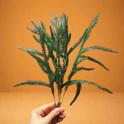 Combo 50 nhánh thông PE mềm mượt cho cây thông Giáng Sinh, trang trí Santa Claus, vòng nguyệt quế và phông nền đẹp. 2