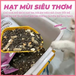 Hạt Meowfresh Siêu Topping Sấy Lạnh 40% Đạm Bổ Sung Dinh Dưỡng, Tăng Cân Cho Mèo Chính Hãng 4