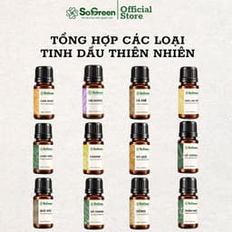 Tinh Dầu Thơm Thiên Nhiên Sogreen Cao Cấp, Xông Phòng Khử Mùi, Giảm Căng Thẳng, Ngủ Ngon 10ml, 30ml 1
