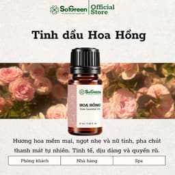 Tinh Dầu Thơm Thiên Nhiên Sogreen Cao Cấp, Xông Phòng Khử Mùi, Giảm Căng Thẳng, Ngủ Ngon 10ml, 30ml 8