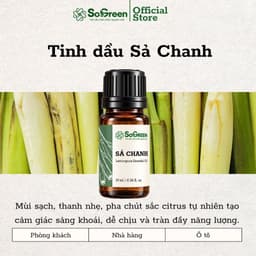 Tinh Dầu Thơm Thiên Nhiên Sogreen Cao Cấp, Xông Phòng Khử Mùi, Giảm Căng Thẳng, Ngủ Ngon 10ml, 30ml 3