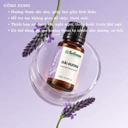 Tinh Dầu Thơm Thiên Nhiên Sogreen Cao Cấp, Xông Phòng Khử Mùi, Giảm Căng Thẳng, Ngủ Ngon 10ml, 30ml 7