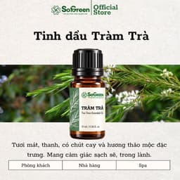 Tinh Dầu Thơm Thiên Nhiên Sogreen Cao Cấp, Xông Phòng Khử Mùi, Giảm Căng Thẳng, Ngủ Ngon 10ml, 30ml 6