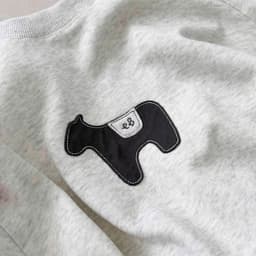 Bộ Đồ Bé Trai Nỉ 2 Da Hình Cún Con Dễ Thương Áo Dài Tay Quần Jogger Bo Gấu Năng Động 7-27kg - KIẾN DESIGN - BO208 6