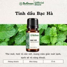 Tinh Dầu Thơm Thiên Nhiên Sogreen Cao Cấp, Xông Phòng Khử Mùi, Giảm Căng Thẳng, Ngủ Ngon 10ml, 30ml 4