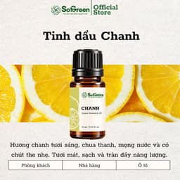 Tinh Dầu Thơm Thiên Nhiên Sogreen Cao Cấp, Xông Phòng Khử Mùi, Giảm Căng Thẳng, Ngủ Ngon 10ml, 30ml 2