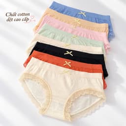 (Hàng loại đẹp)combo 5-10 quần chip nữ, quần lót nữ cao cấp chất cotton dệt co dãn có lớp kháng khuẩn 7