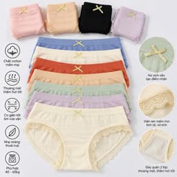 (Hàng loại đẹp)combo 5-10 quần chip nữ, quần lót nữ cao cấp chất cotton dệt co dãn có lớp kháng khuẩn 8