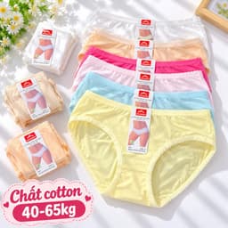 Combo 5-10 quần lót nữ cotton cao cấp co dãn bốn chiều, quần chip nữ cotton mềm mát đẹp 3