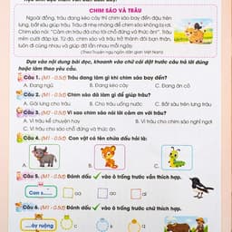 Sách -Combo Bộ Đề Cương Toán ,Tiếng Việt Ôn Tập Cuối Kỳ 1 Lop 1 Kết Nối Tri Thức Có QR Đáp Án 8