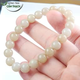 [Nông Trại Cẩm Thạch] Chuỗi Tay Ngọc Cẩm Thạch Phỉ Thúy Tự Nhiên Type A Màu Hoàng Trà, Hạt 7.8mm 5