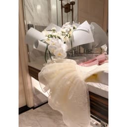TRAN ALI ĐẦM YẾM REN VIỀN CỔ LINLUXE 6