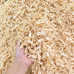 Mùn Cưa Gỗ Thông Lót Chuồng Hamster, Mùn Cưa Gỗ Tự Nhiên Làm Giá Thể Trồng Cây. Shop WOOD DECOR 09 3