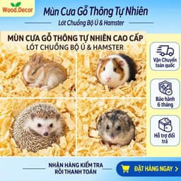 Mùn Cưa Gỗ Thông Lót Chuồng Hamster, Mùn Cưa Gỗ Tự Nhiên Làm Giá Thể Trồng Cây. Shop WOOD DECOR 09 1