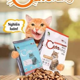 Hạt Mèo Catsrang 5kg Gà Và Cá Ngừ Cho Mèo Mọi Lứa Tuổi | Yellow Pet 4