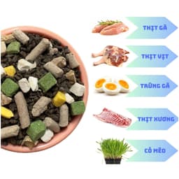 Hạt Cho Mèo KUNKAT K79 5kg Vị Gà Và Cá Hồi Kết Hợp Topping | Yellow Pet 4