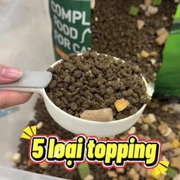 Hạt Cho Mèo KUNKAT K79 5kg Vị Gà Và Cá Hồi Kết Hợp Topping | Yellow Pet 5