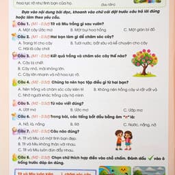 Sách -Combo Bộ Đề Cương Toán ,Tiếng Việt Ôn Tập Cuối Kỳ 1 Lop 1 Kết Nối Tri Thức Có QR Đáp Án 7
