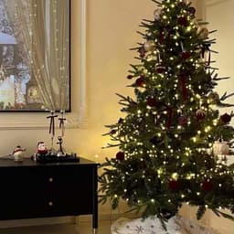 Đồ trang trí noel ĐÈN LED hạt gạo 50 mét và 100m lung linh 3