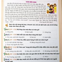 Sách - Combo Bộ Đề Cương Toán,Tiếng Việt Ôn Tập Cuối Kì 1 Lớp 2 Kết Nối Tri Thức Có QR Đáp Án 7