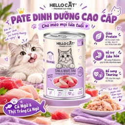 Pate Mèo Hello Cat 400g 4 Vị Cá | Hairball & Urinary, Bổ Sung Prebiotics Taurine 8