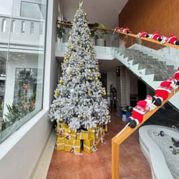 Cây thông noel giáng sinh có SIZE 1m5-2m4 CHƯA LẮP RÁP-CHƯA BUNG LÁ lung linh 2