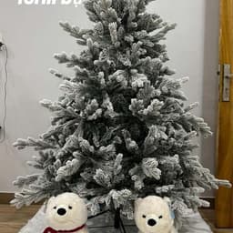 Cây thông noel giáng sinh có SIZE 1m5-2m4 CHƯA LẮP RÁP-CHƯA BUNG LÁ lung linh 5