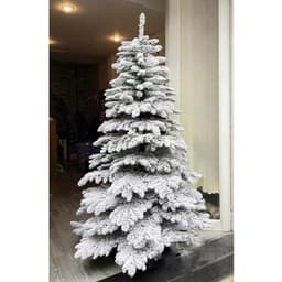 Cây thông noel SIZE 1m5-2m4 CHƯA LẮP RÁP-TRANG TRÍ tán xòe bự phù hợp giáng sinh 4