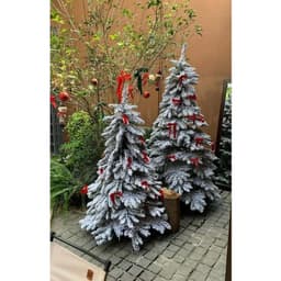 Cây thông noel SIZE 1m5-2m4 CHƯA LẮP RÁP-TRANG TRÍ tán xòe bự phù hợp giáng sinh 5