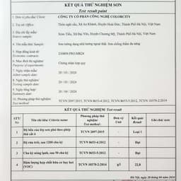 Sơn chống Thấm Tường Nhà, Sàn Mái, Sân Thượng, Máng Xối, Trần Nhà- SIRA SR01 6