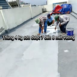 Sơn chống thấm đa năng chống thấm mái nhà, máng xối, sân thượng- Sira SR01 4
