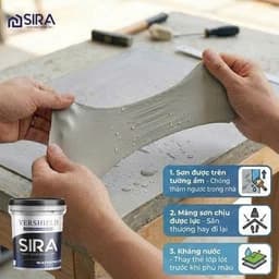 [Chính hãng] Sơn chống thấm ngược sàn mái, sân thượng, tường đứng, gạch men, rỉ mái tôn - SIRA SR01 6