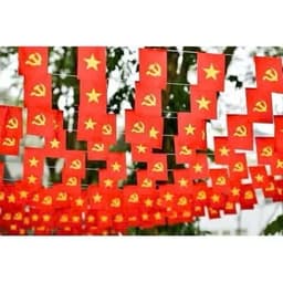DÂY CỜ TREO DÀI 10M IN SAO ĐẢNG 2 MẶT – TRANG TRÍ RỰC RỠ, NỔI BẬT MỌI KHÔNG GIAN 4