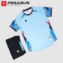 [Chính hãng JustPlay có in sau lưng] Quần áo bóng đá,đồ đá banh Pegasus nhiều màu Chất vải CSM cao cấp 8