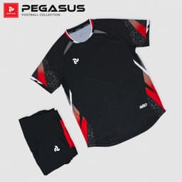[Chính hãng JustPlay có in sau lưng] Quần áo bóng đá,đồ đá banh Pegasus nhiều màu Chất vải CSM cao cấp 7
